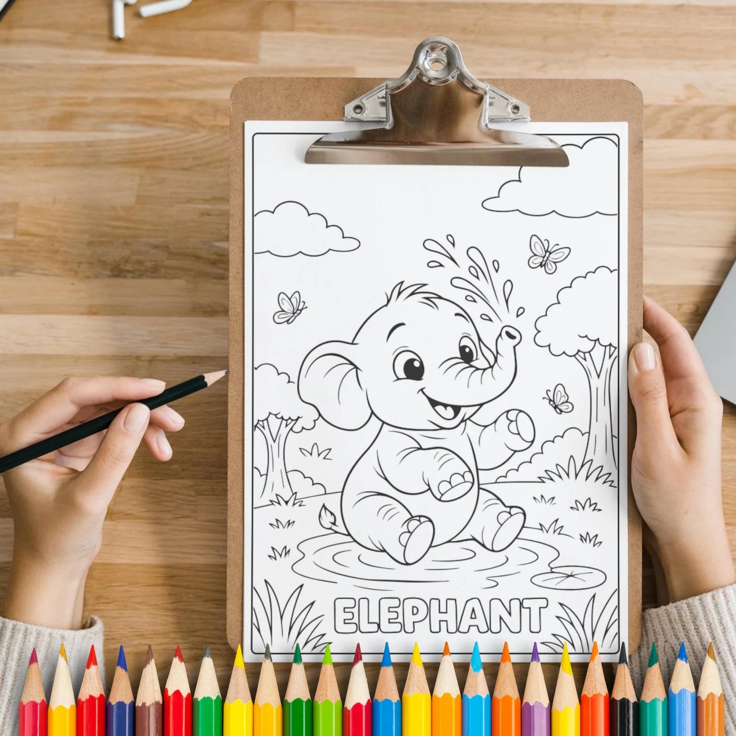 Animal Coloring book Printable PDF | 25 Coloring Pages | Easy Bold Outlines | Kids Activity